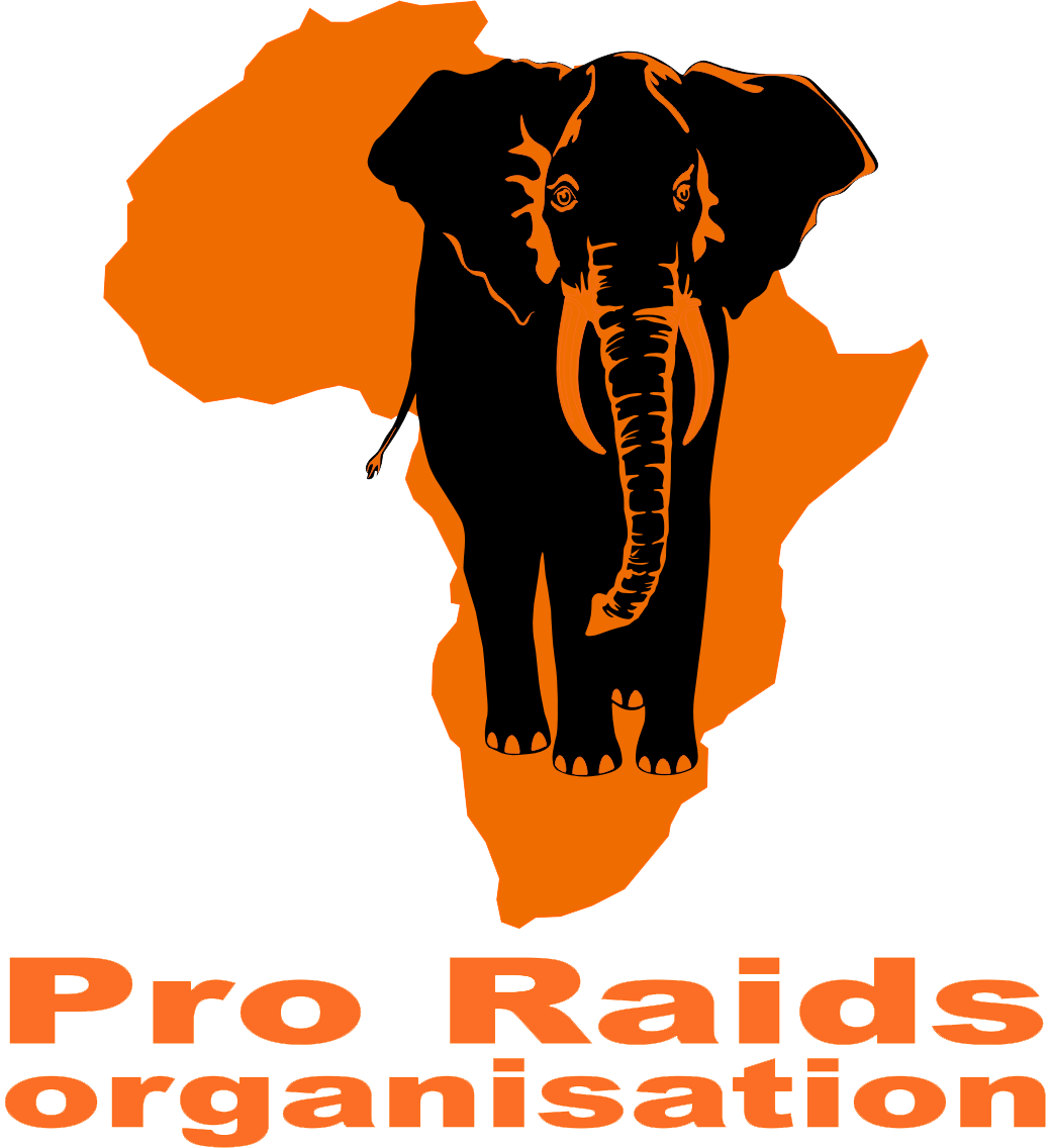 Logo Pro Raids Organisation